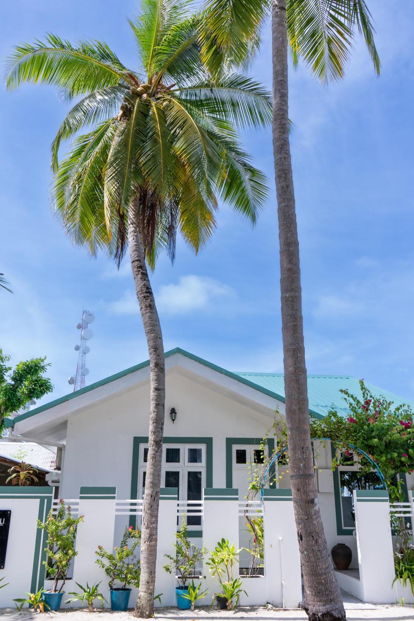 Vaali Maldives Island Escapes & Dive Hotel Felidhoo Kültér fotó