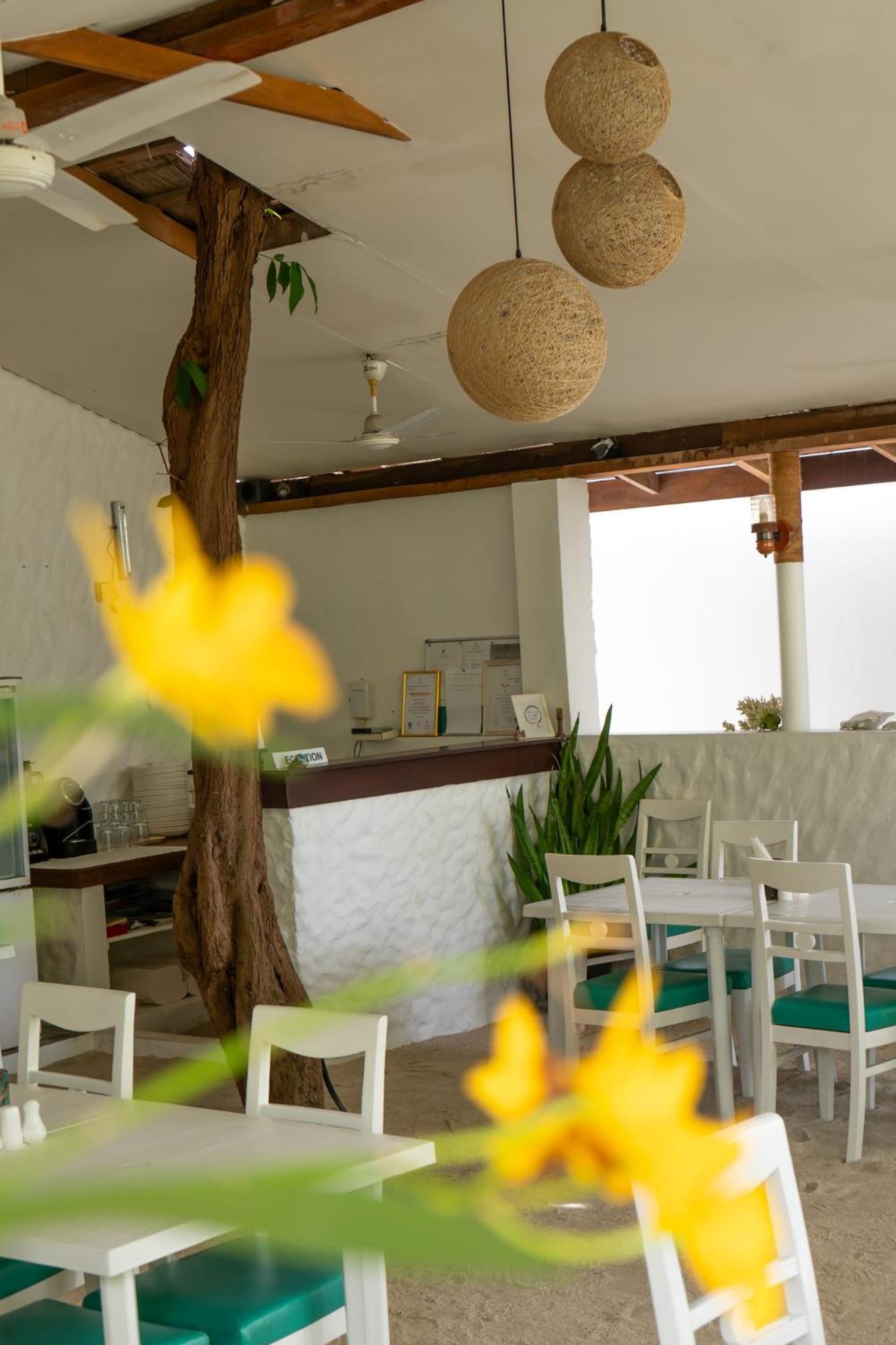 Vaali Maldives Island Escapes & Dive Hotel Felidhoo Kültér fotó