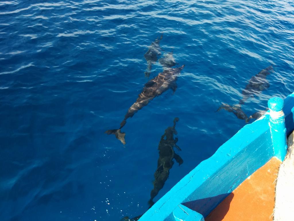 Vaali Maldives Island Escapes & Dive Hotel Felidhoo Kültér fotó